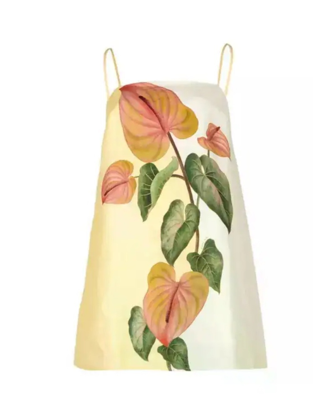 Farm rio floral print mini dress